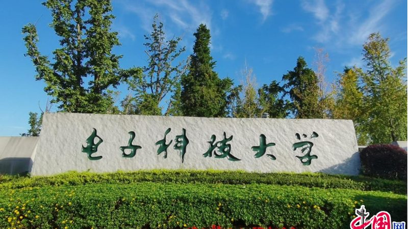 电子加工抽检方案：如何确保产品质量与效率**